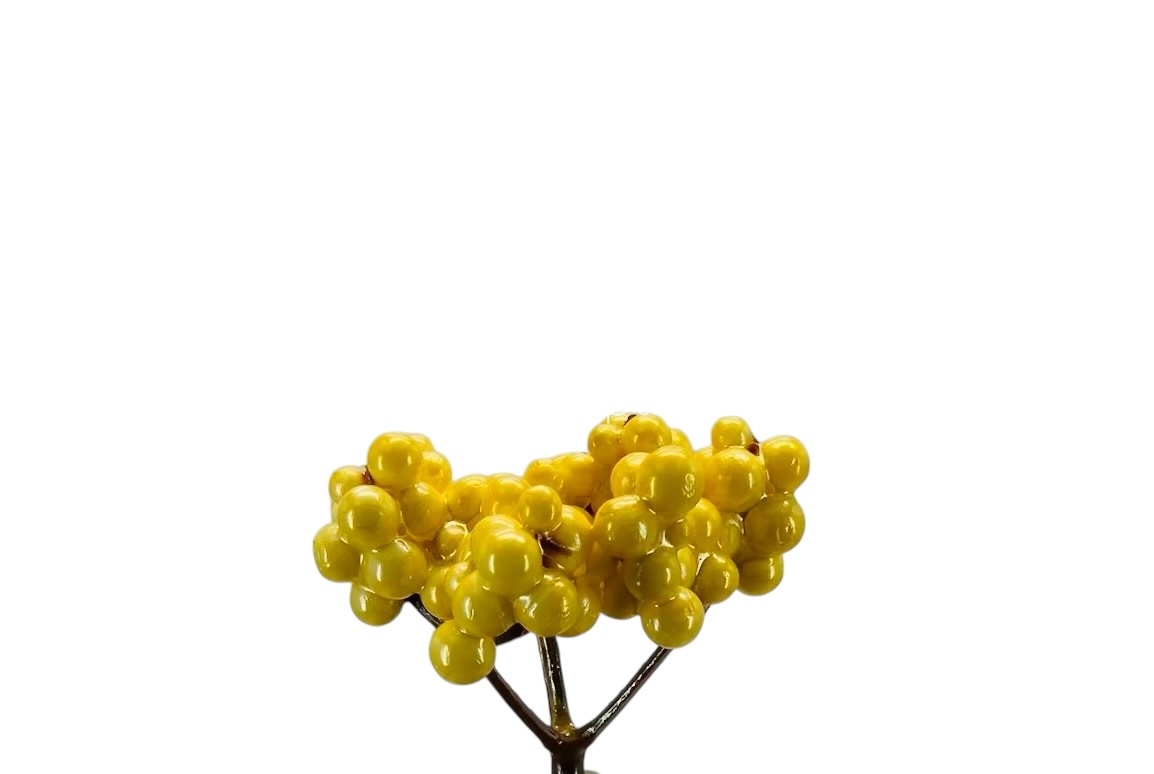 Yellow Small Fern