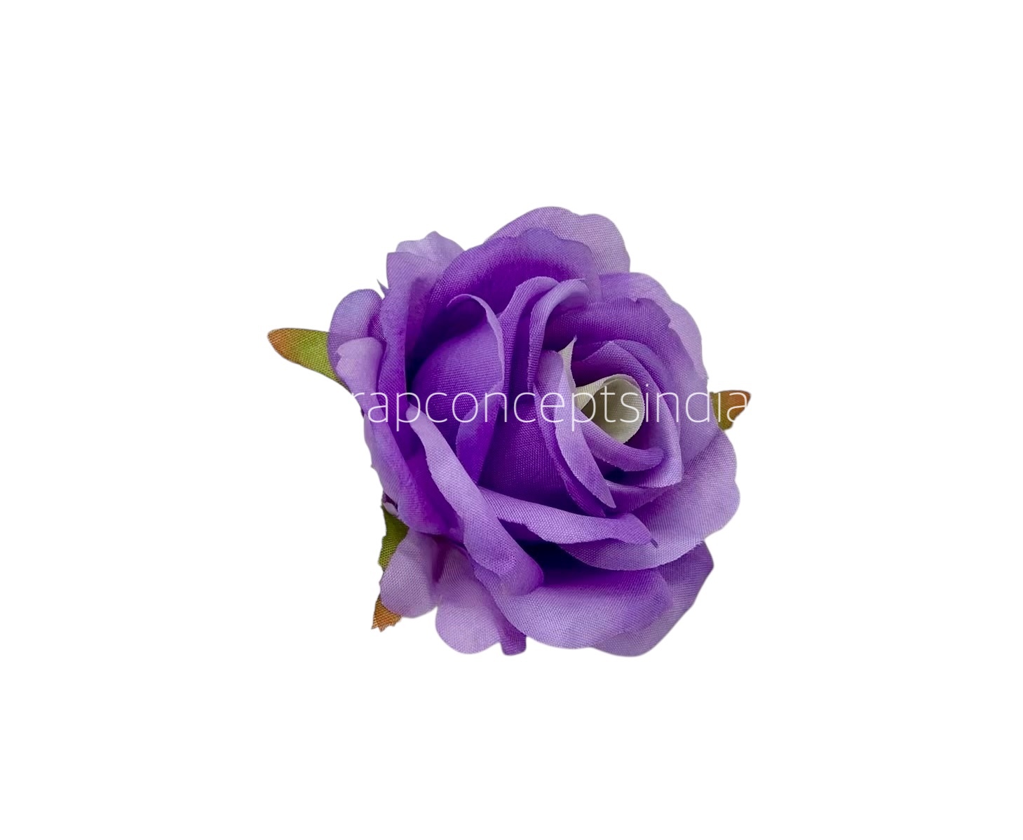 Rose - Shaded Orchid