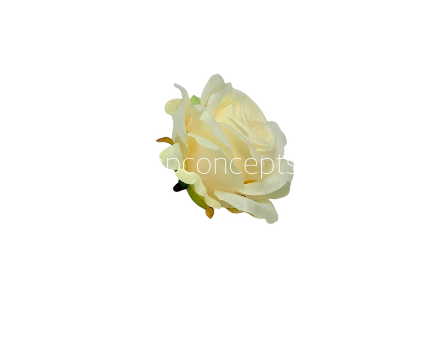 Rose Small – Lemon