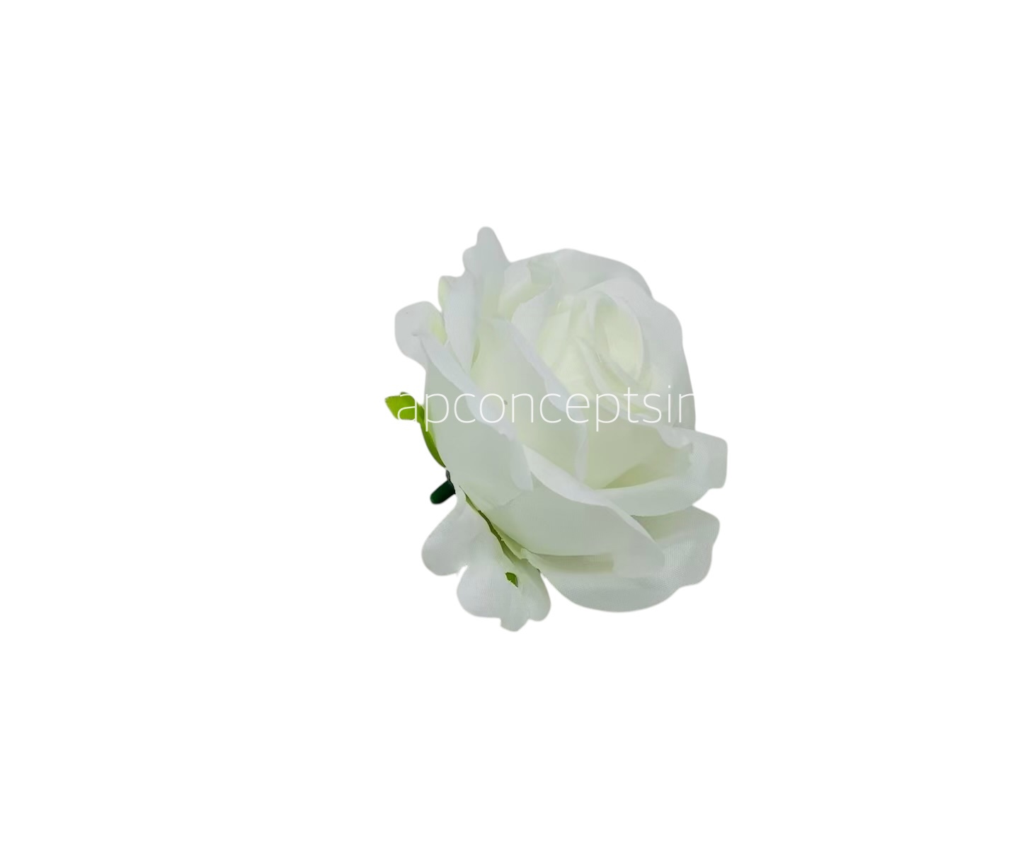 Rose Small - White