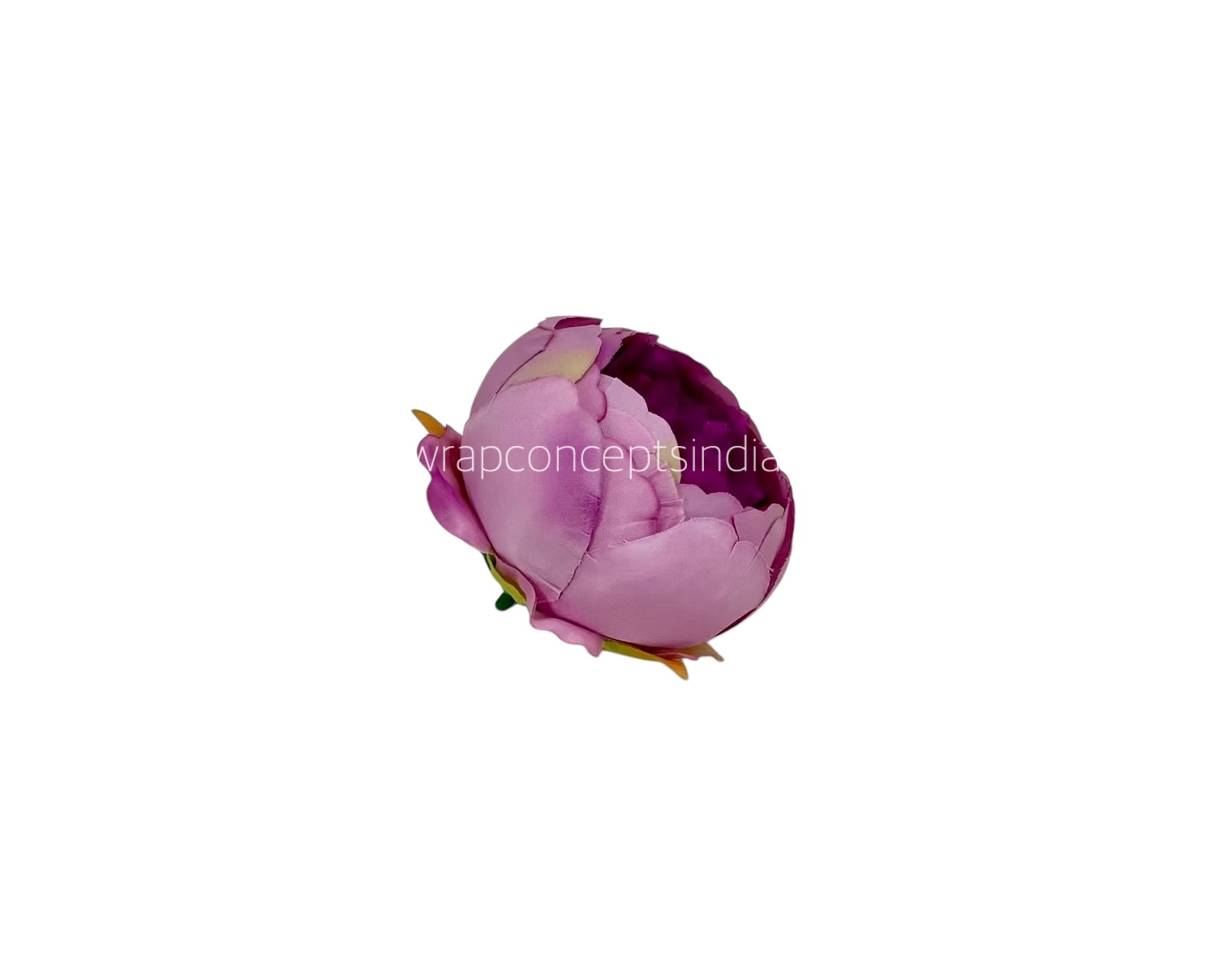 Peony - Orchid with Violet