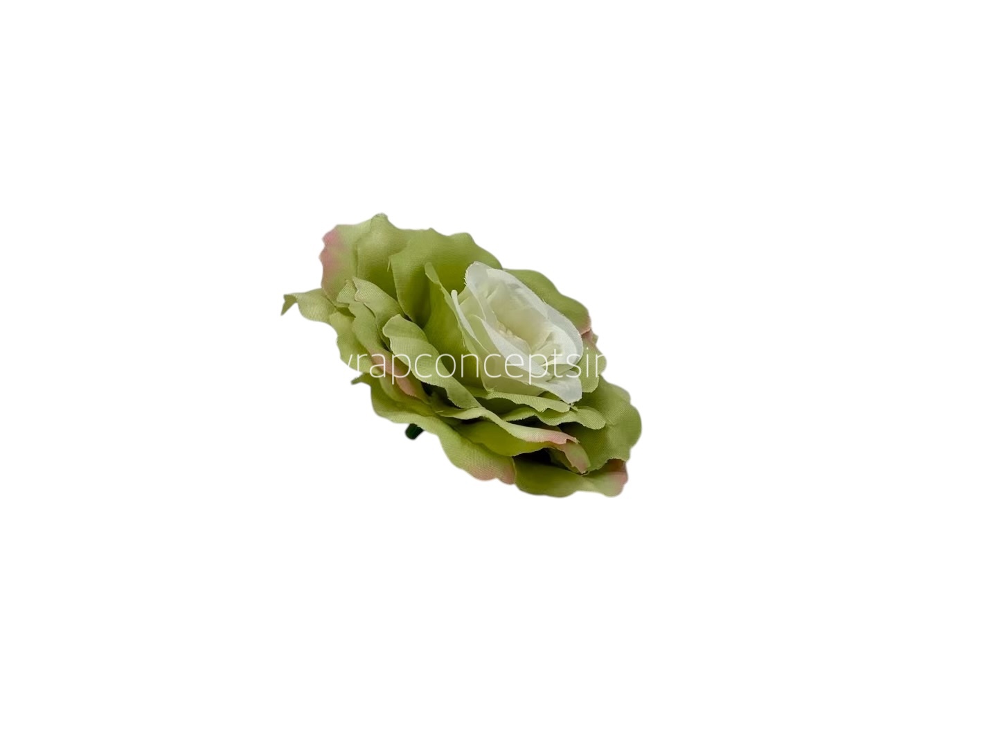 Green Open Rose