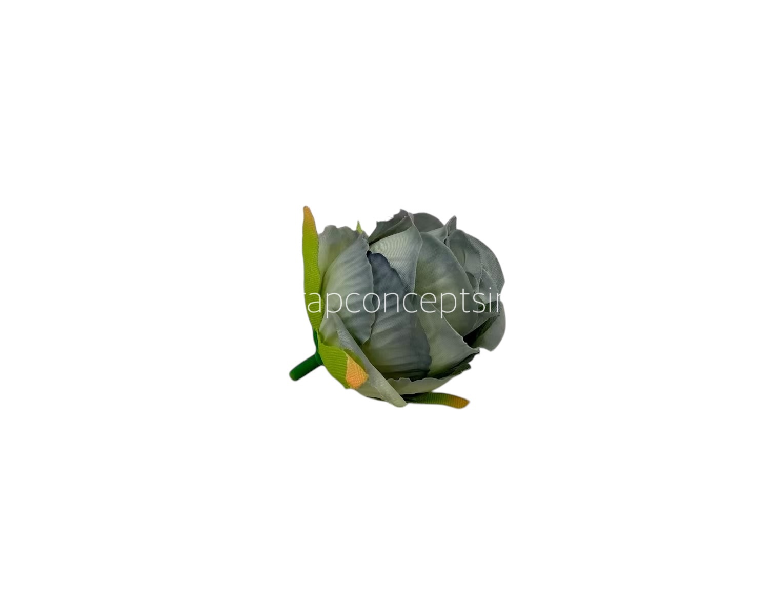 Grey Rose Buds