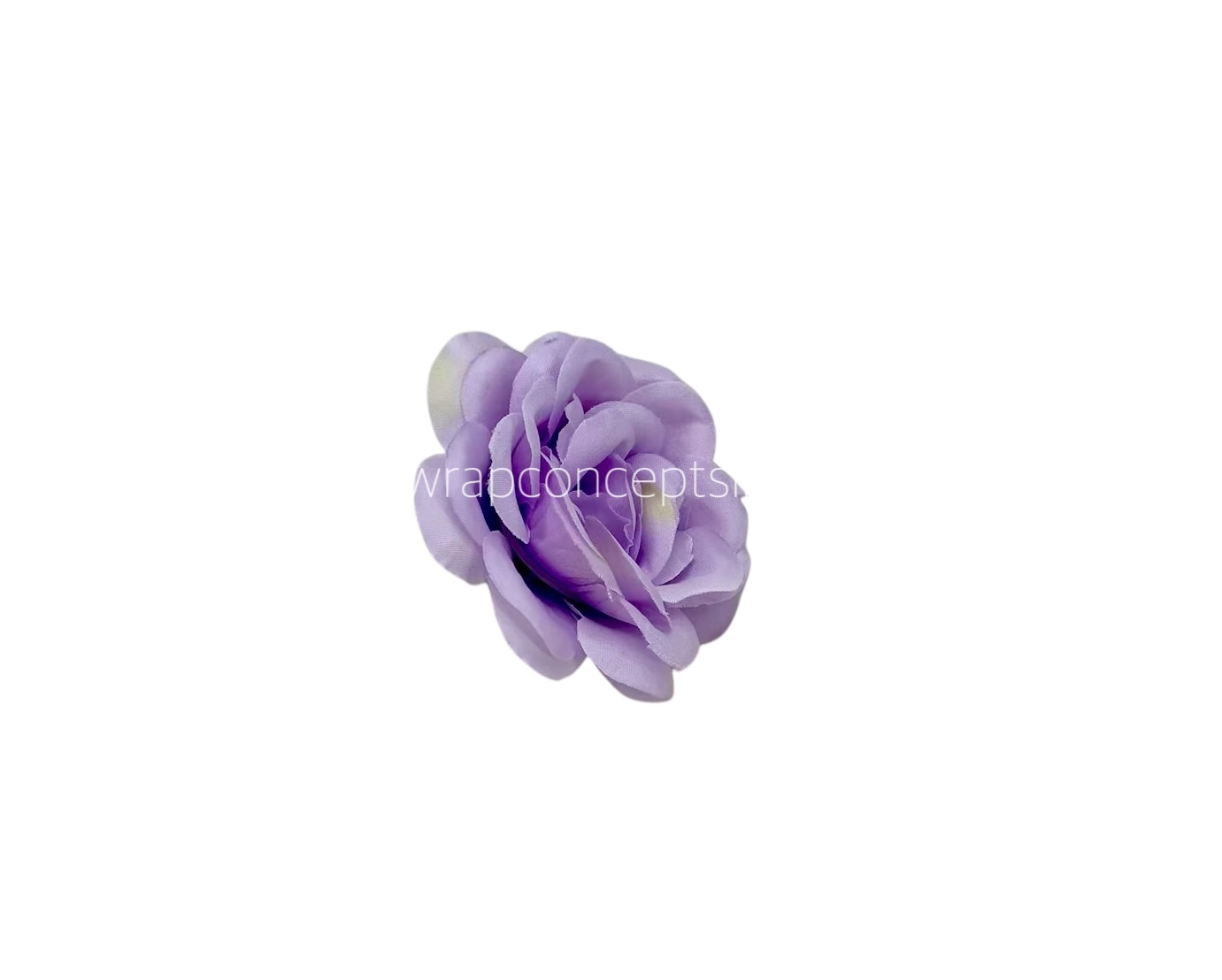 Mauve Shrub Rose