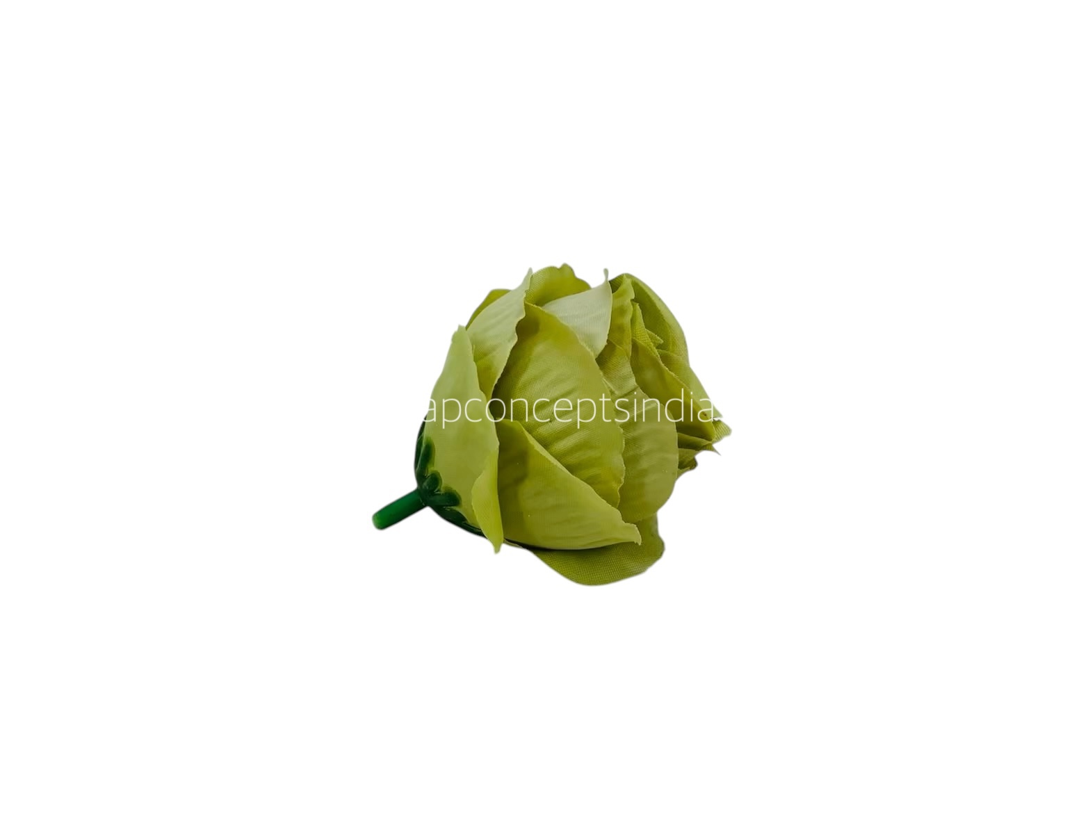 Apple Green Rose Buds