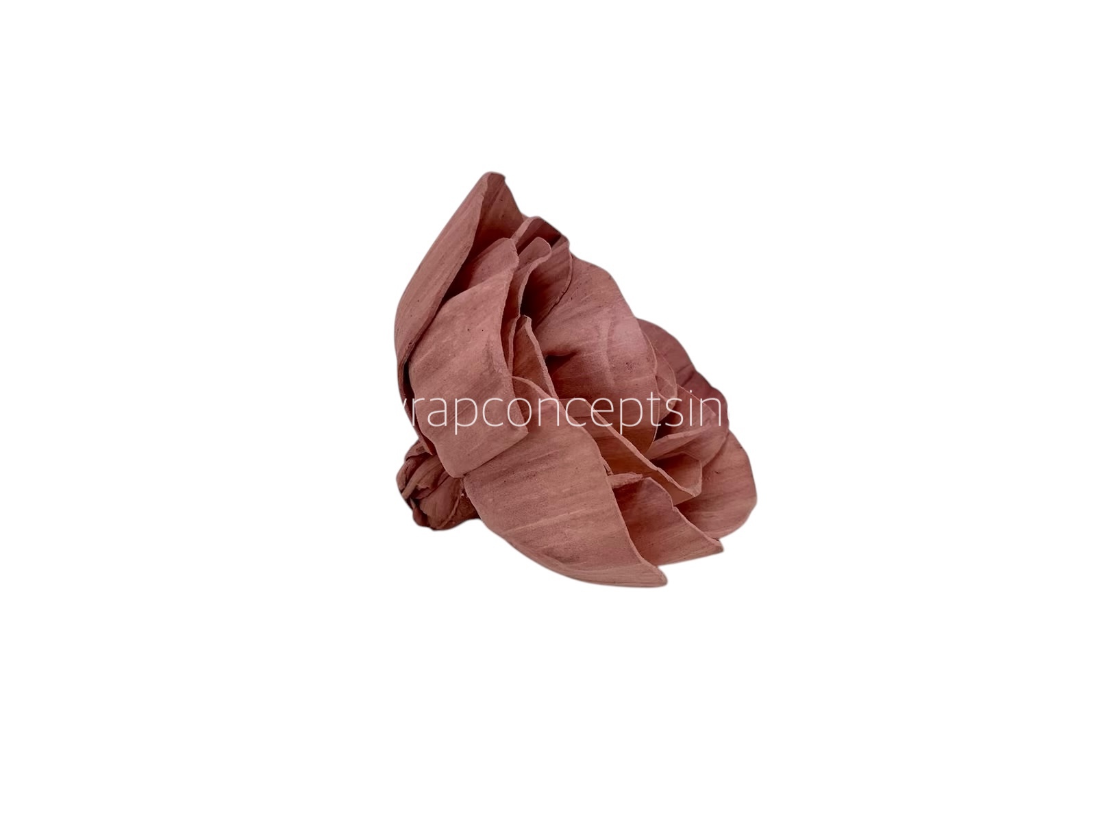 Blush Sola Wood Dear Holly