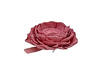 Pink Sola Wood Lotus