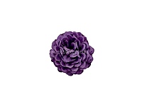 Dark Puple Green Carnation