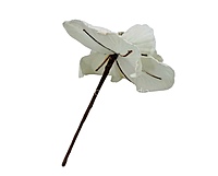 Velvet Flower With Frosted Edges & Center