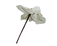Velvet Flower With Frosted Edges & Center