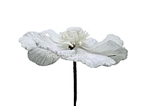 Velvet Flower With Frosted Edges & Center