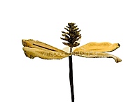 Velvet Flower with Gitter Pine Center-Tangerine