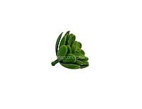 Faux Sucullent - Light Green