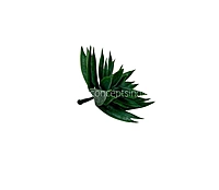 Faux Star Succulent - Dark Green