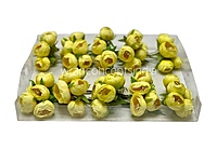 Peonies on stick-Yellow