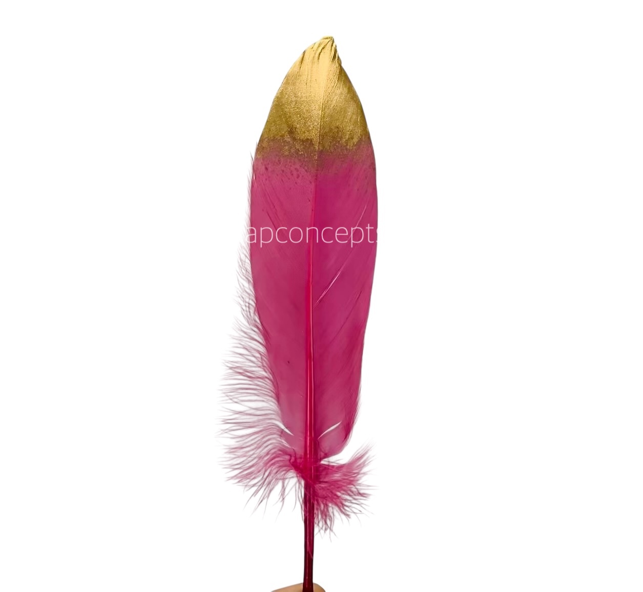 Faux Feather with Gold Edges