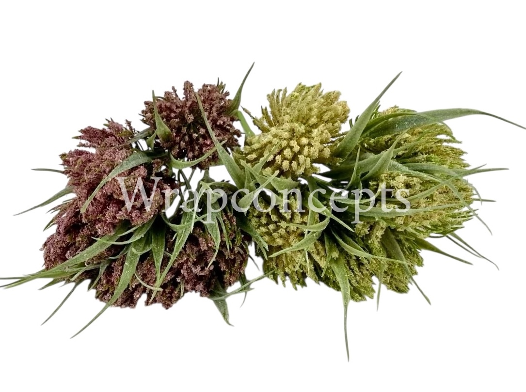 Fern Bunch with Big Frosted Conifers