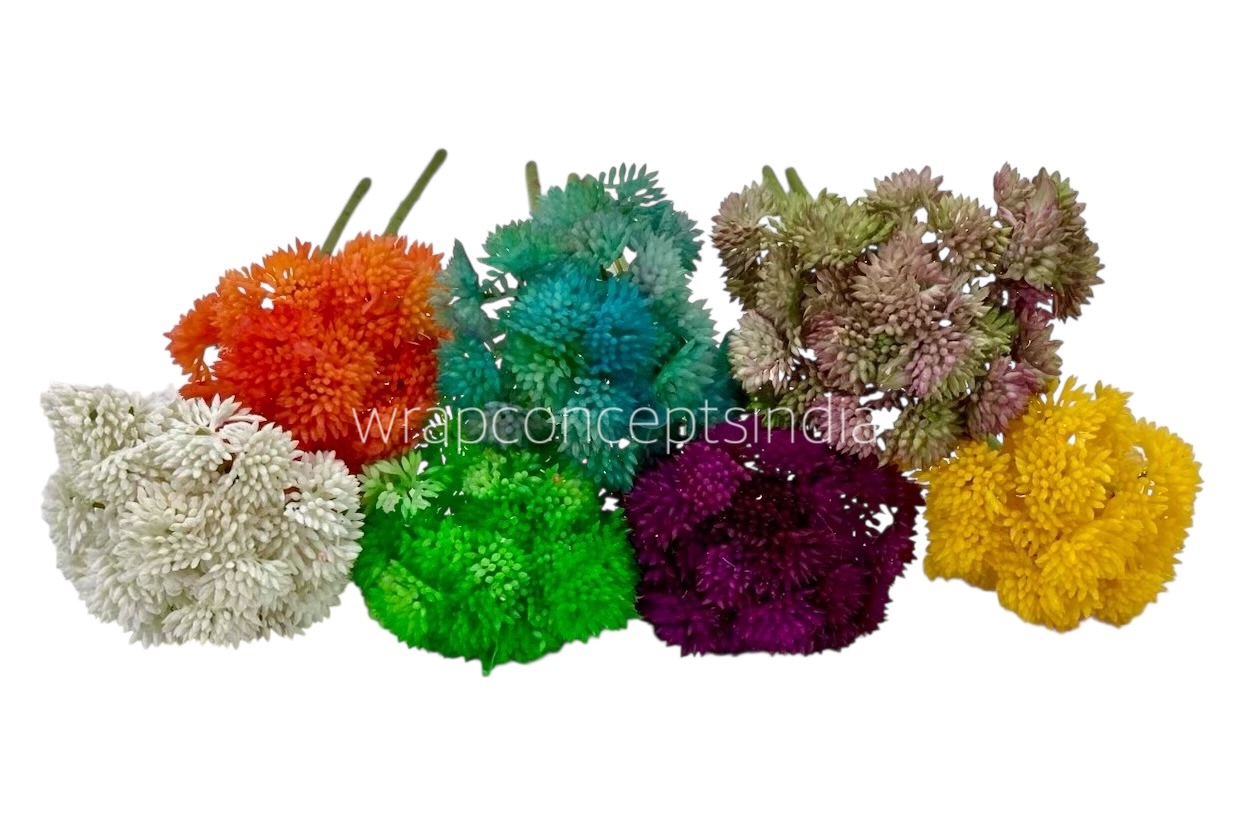 Cacti Flowers Bunch