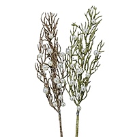 Long Coral Reef Sticks with Pearls