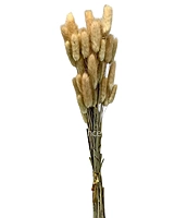 Preserved Bunny Tails-Teal