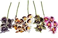 Orchid Sticks - Multicolor