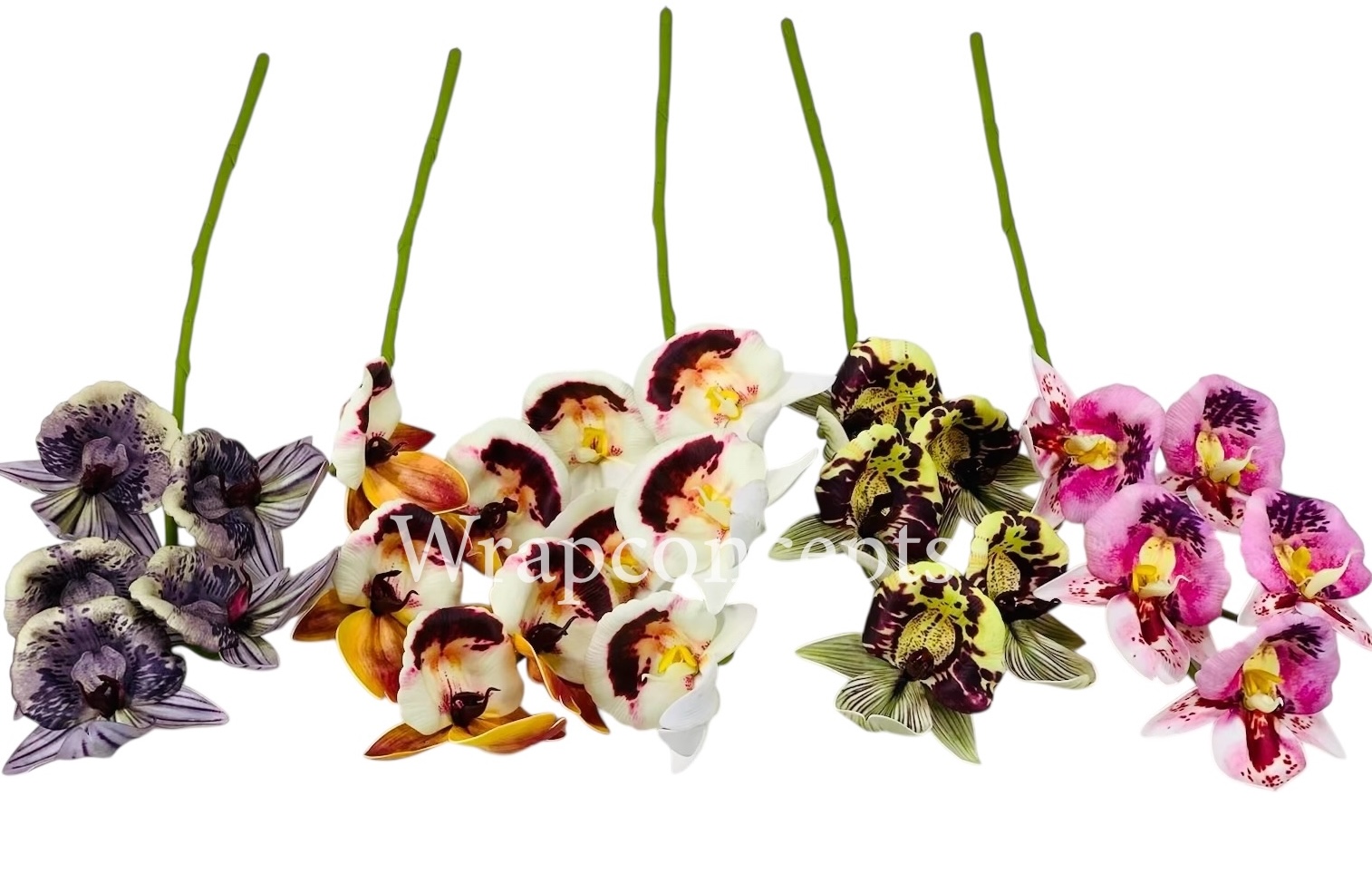 Orchid Sticks - Multicolor