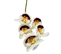 Orchid Sticks - Multicolor