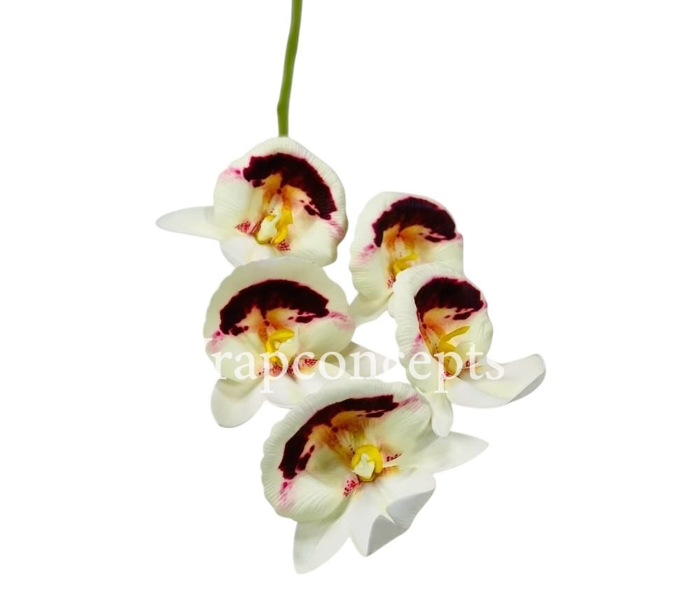 Orchid Sticks - Multicolor