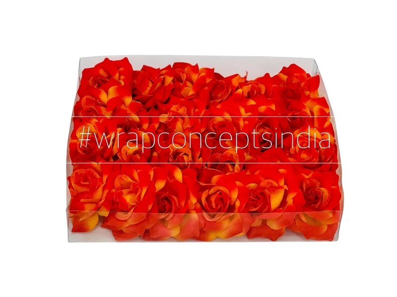 Rose-Burnt Orange