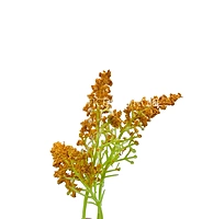 Trio Frosted Fern Leaves - Orange