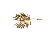 Gold Fan Shaped Palm Leaves -