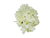 Ivory Hydrangeas