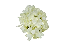 Ivory Hydrangeas