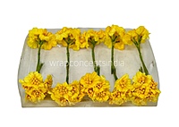 Yellow Flower with Yellow Pollen