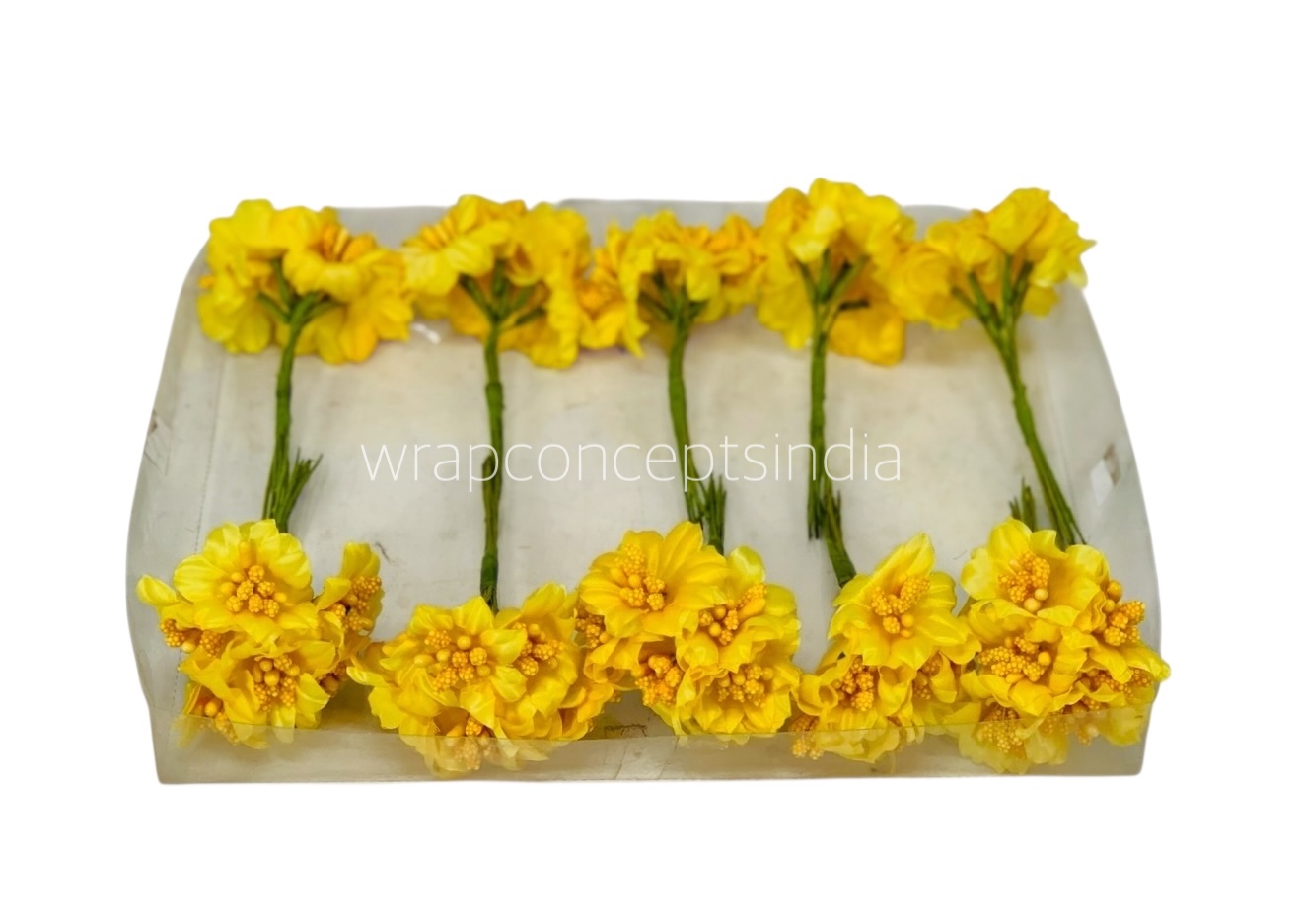 Yellow Flower with Yellow Pollen