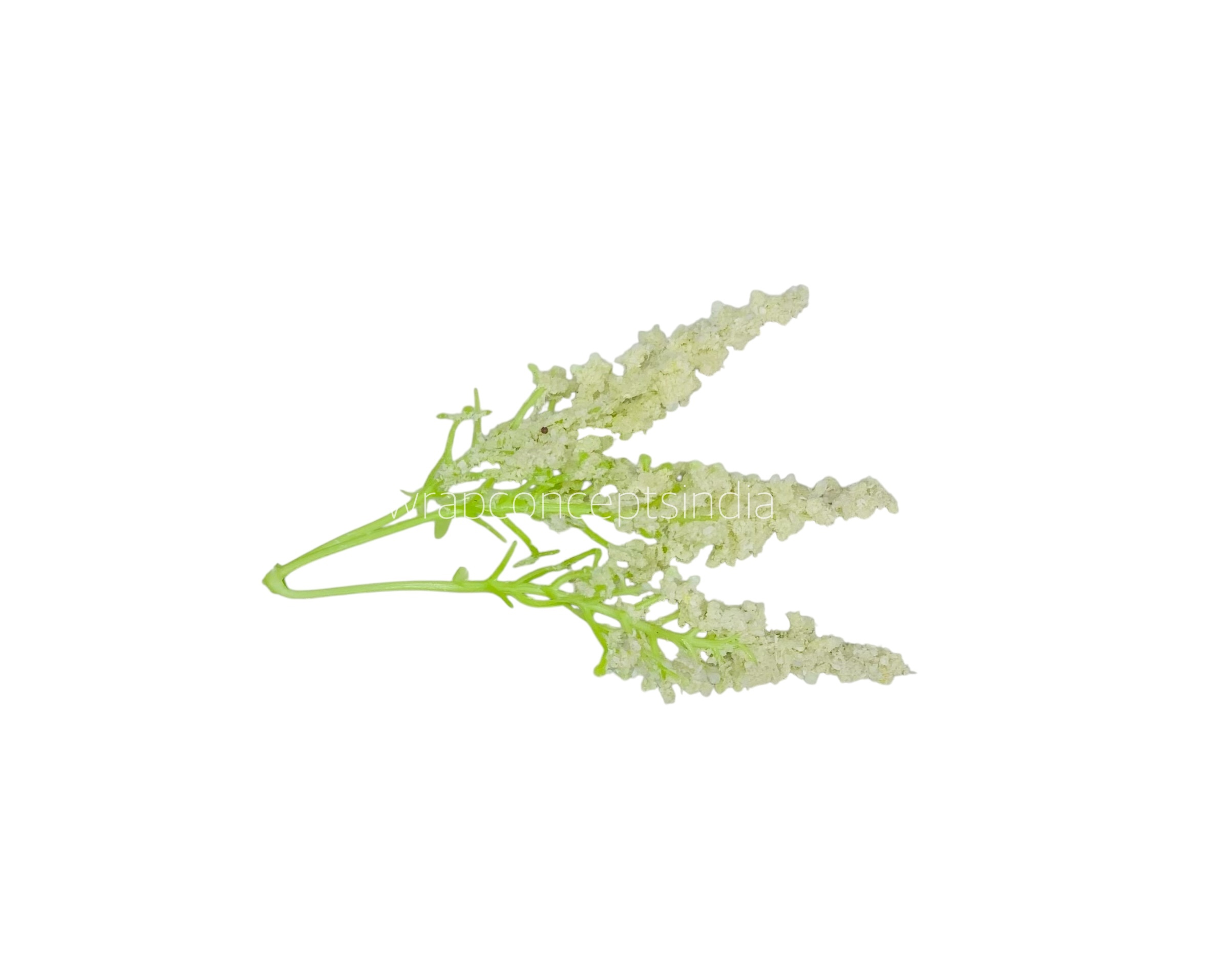 Trio Frosted Fern Leaves - Ivory