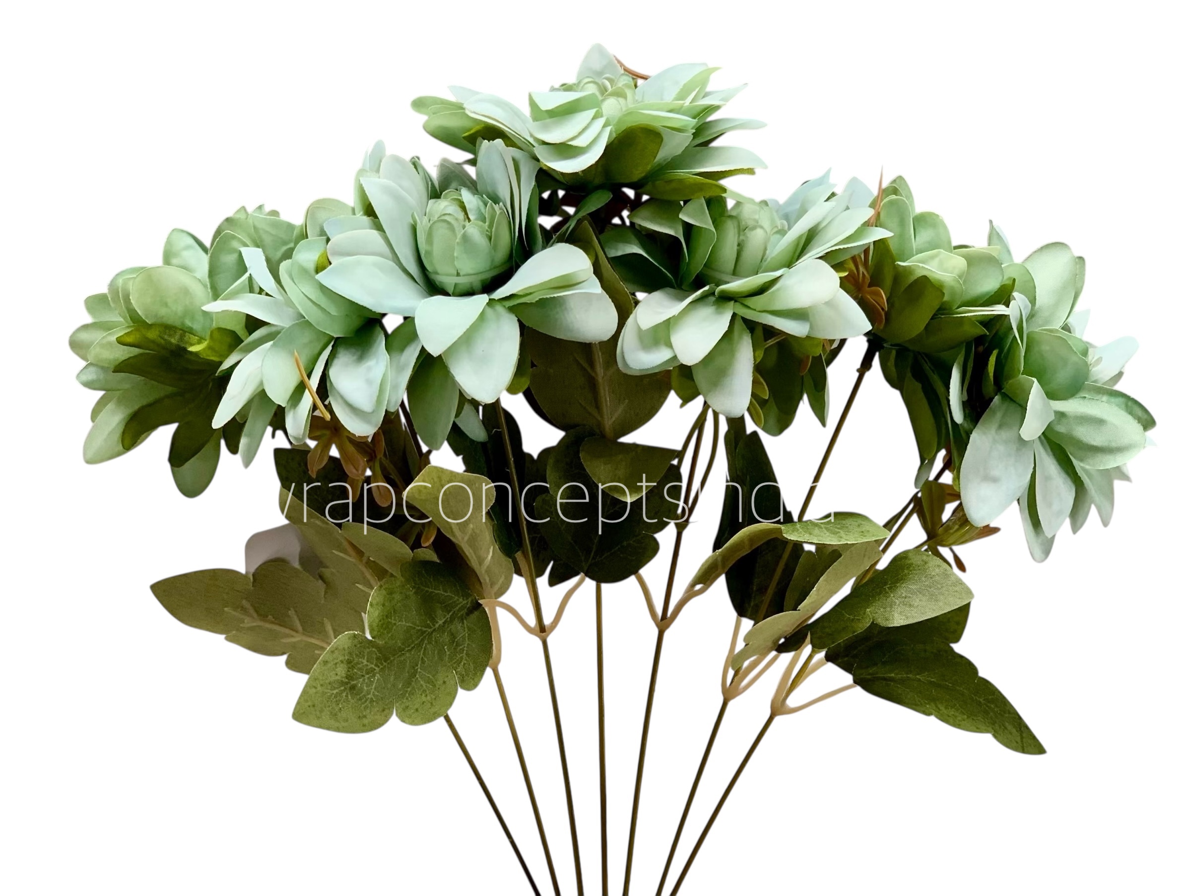 Dahlia Bunch with Leaves Dahlia Bunch with Leaves