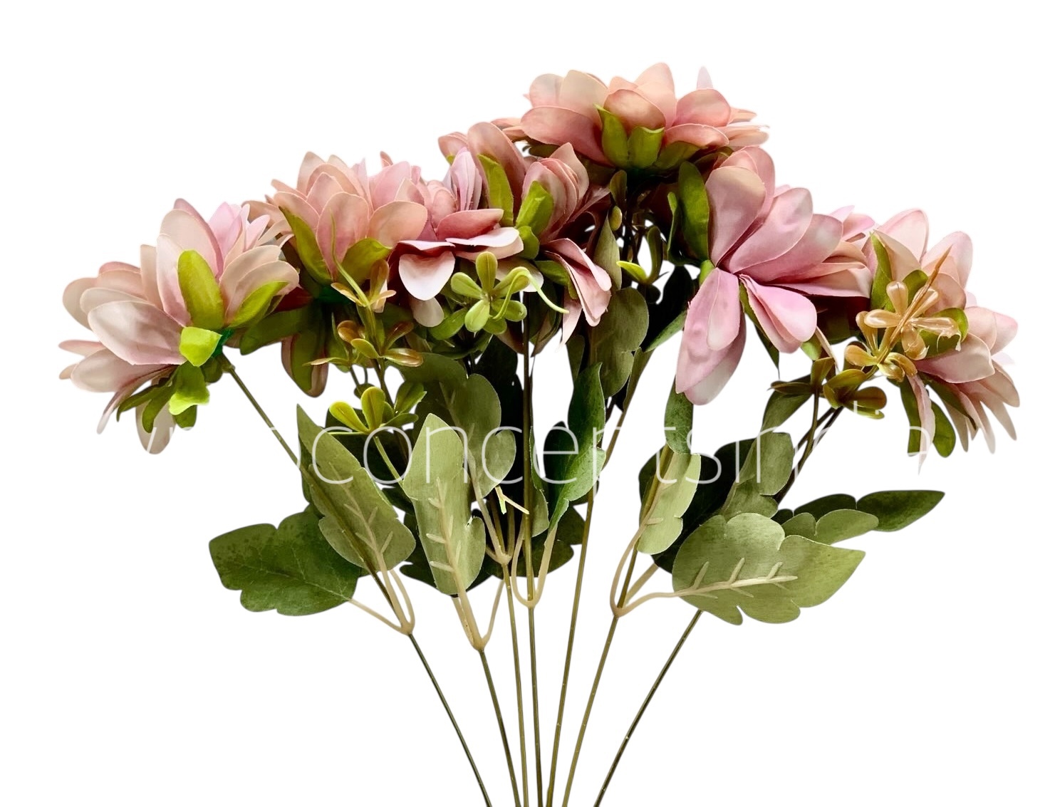 Dahlia Bunch with Leaves Dahlia Bunch with Leaves