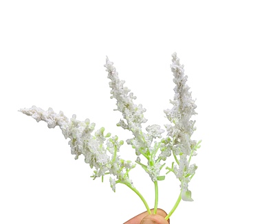 Trio Frosted Fern Leaves - White