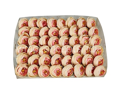 Small Peony- Caramel