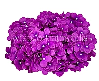 Magenta Hydrangeas