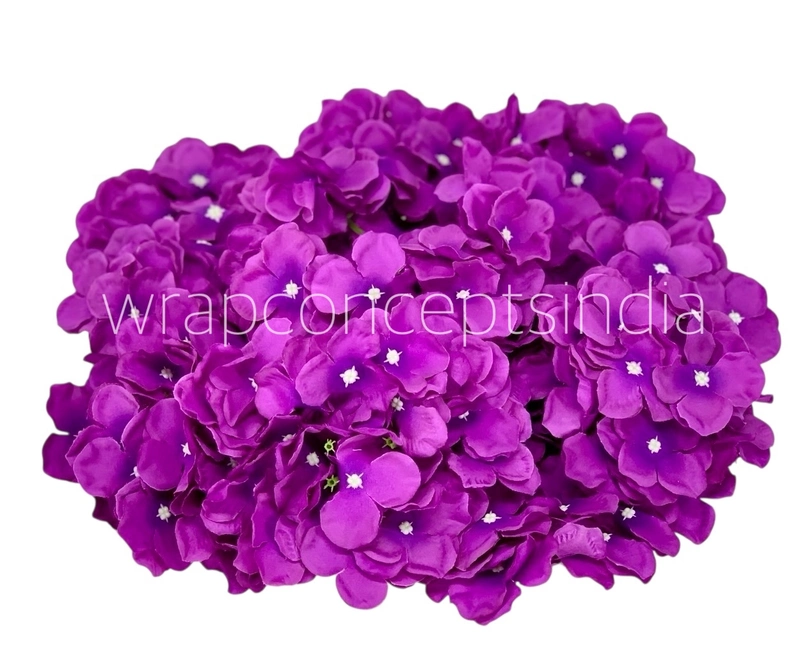 Magenta Hydrangeas