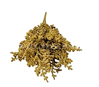 Frosted Plum Blossom Spray-White