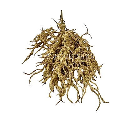 Frosted Willow Spray