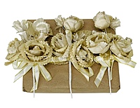 Three Big & Small Ready Bunch