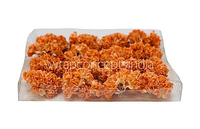 Orange Flowers with Glitter Pollen