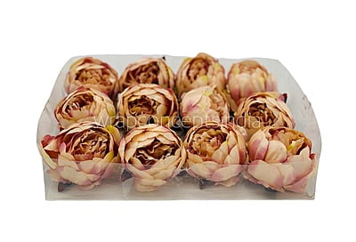 Peony - Cream with hints of Burgundy