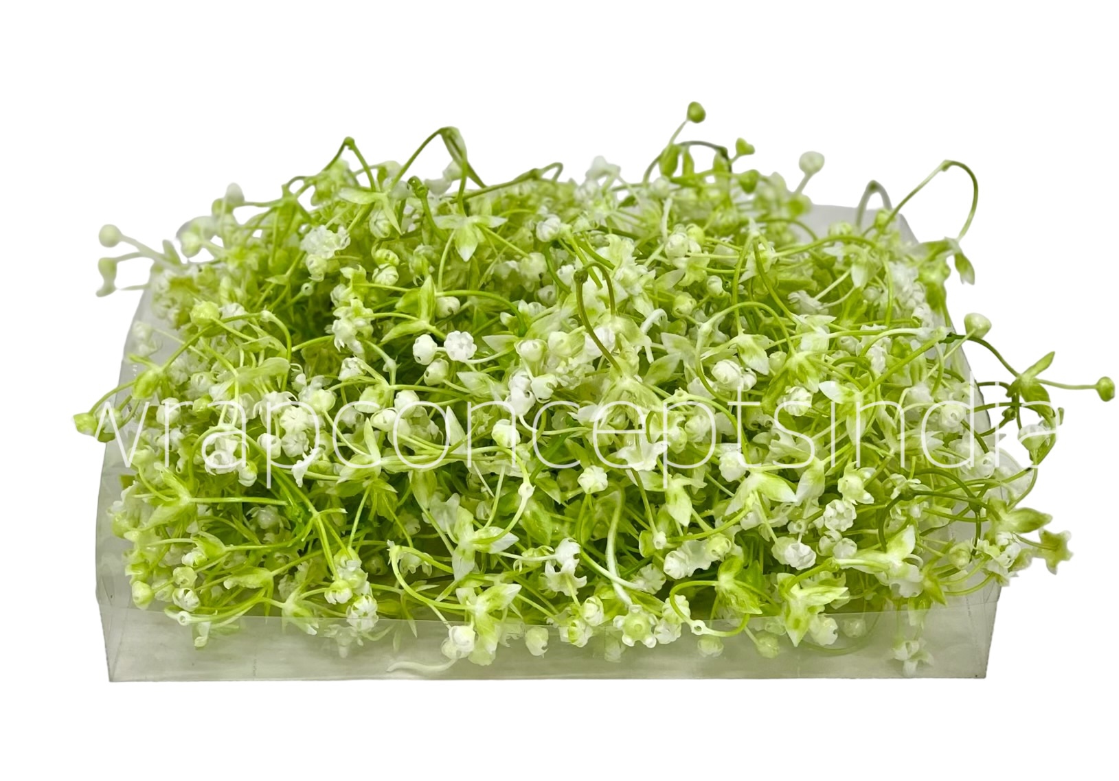 White Baby Breath Florets