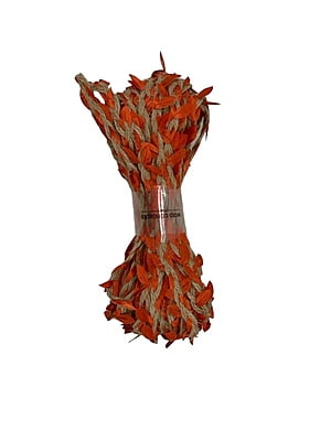 Jute & Leaf String - Multicolour