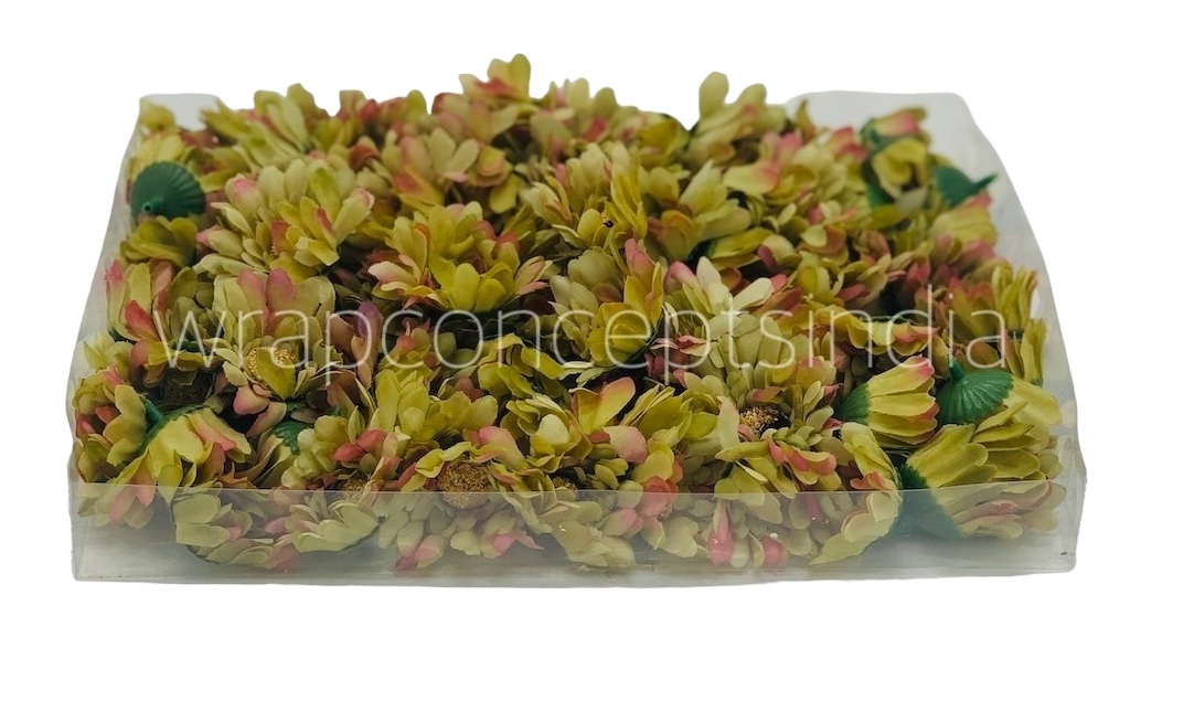 Daisy Flower-Pistachio Green with hints of Pink